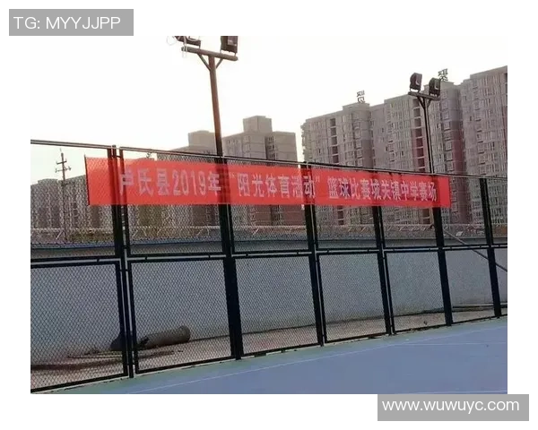 小学篮球活动记录与总结促进学生身心健康发展与团队合作能力提升