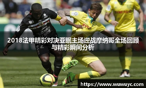 2018法甲精彩对决亚眠主场迎战摩纳哥全场回顾与精彩瞬间分析